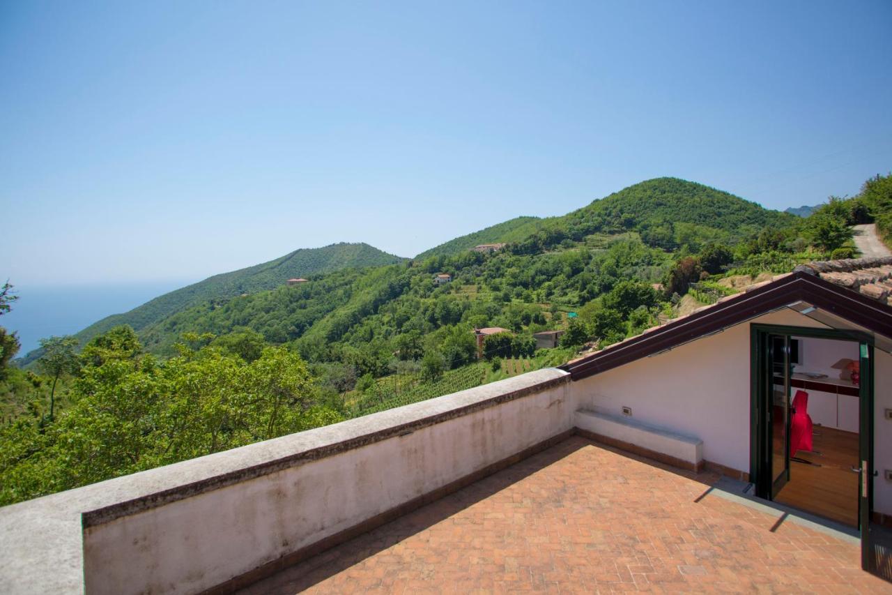 Agriturismo Villa Lupara Salerno Exteriér fotografie